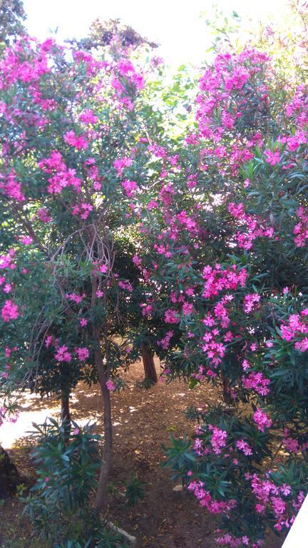 Pag Studio Garden Pag Town Bagian luar foto