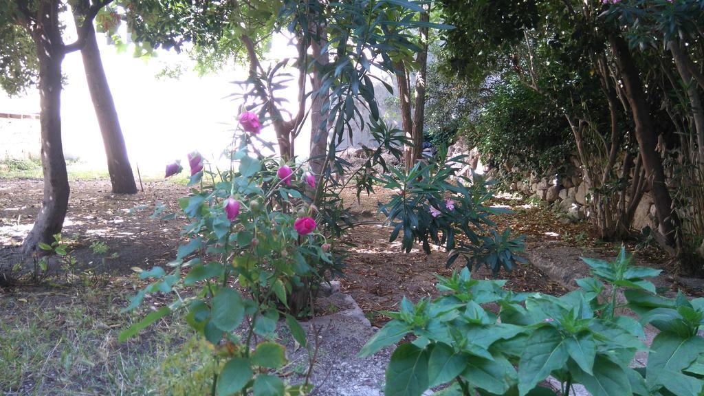 Pag Studio Garden Pag Town Bagian luar foto